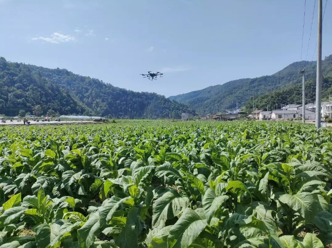 曲靖多个项目入选云南省2025年第一批低空经济应用项目供需清单