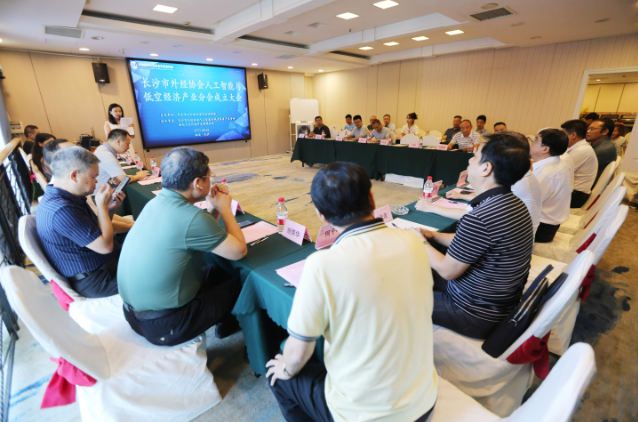 AI赋能低空，聚势长沙、扬帆出海 一长沙市对外经济合作企业协会人工智能和低空经济产业分会成立