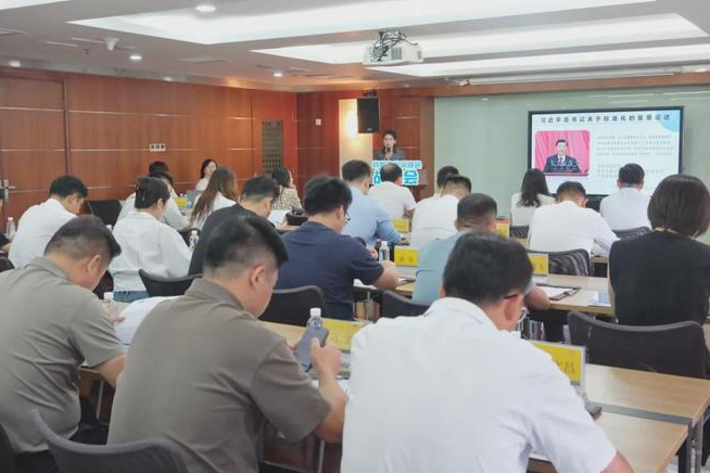 惠州大亚湾深圳 资源对接合作沙龙第五期低空经济 机器人产业专场