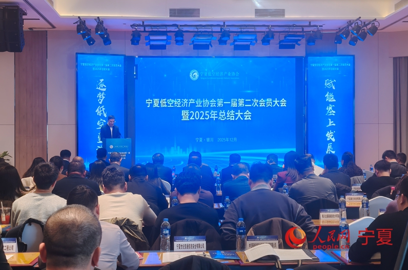 宁夏低空经济发展白皮书（2025）发布